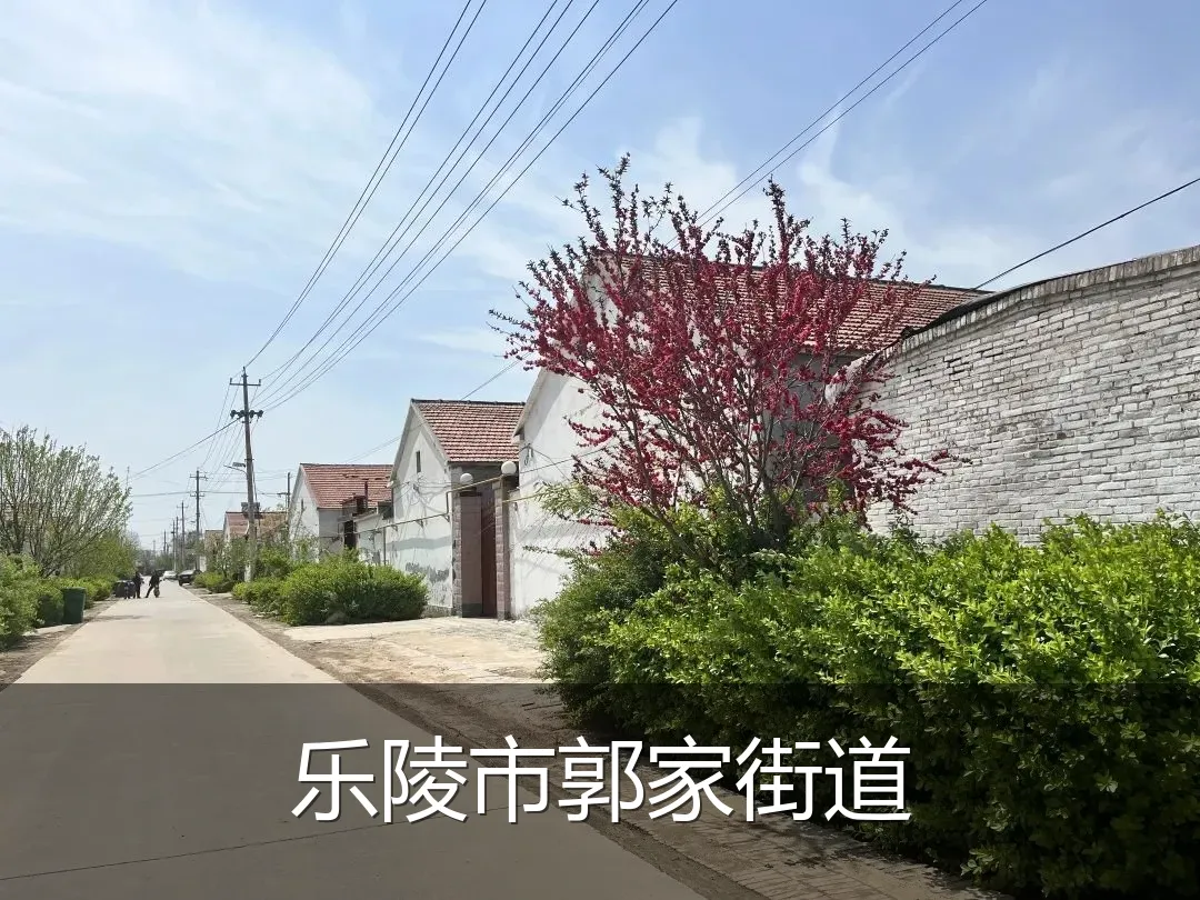乐陵市郭家街道