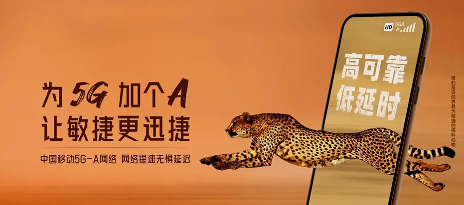 乐陵市乐陵市寨头堡乡 移动宽带